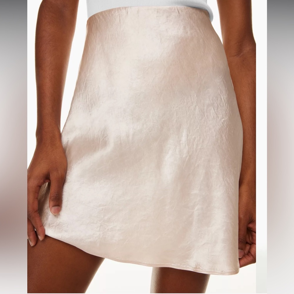 Aritzia Babaton Slip Mini Skirt